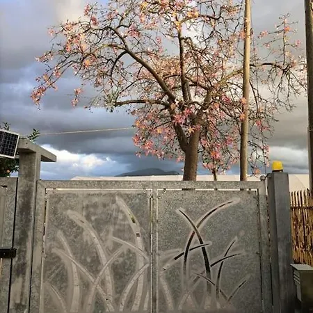 La Casa Di Gerry